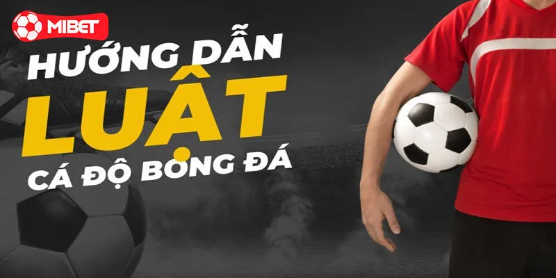 Luật cá độ bóng đá theo từng kèo cược